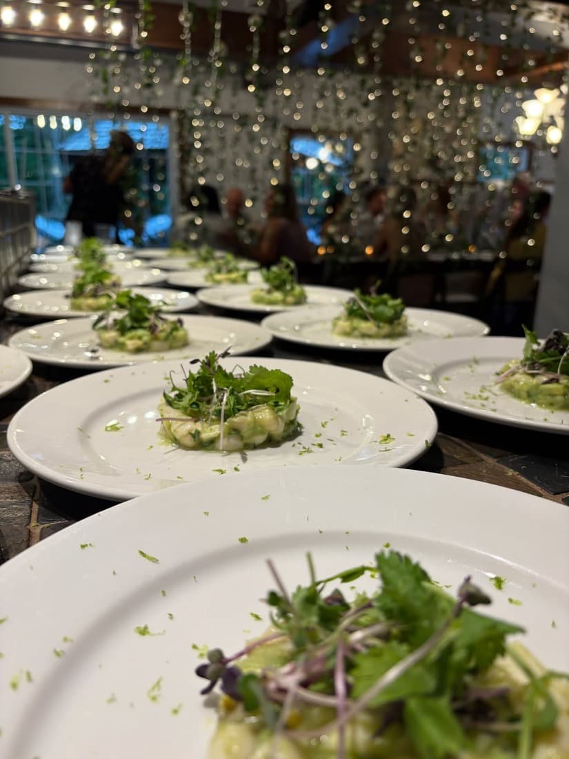 Entrées gastronomiques dressées à l'assiette